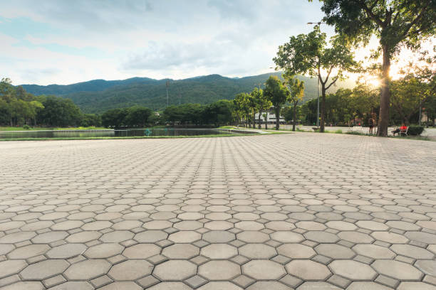 Best Driveway Pavers Near Me  in Mineola, TX