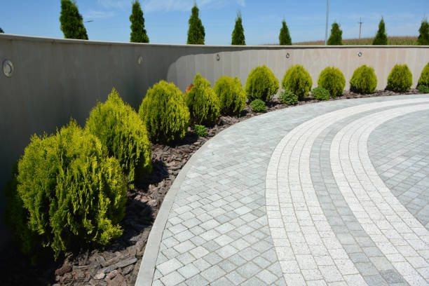 Best Driveway Pavers Cost  in Mineola, TX